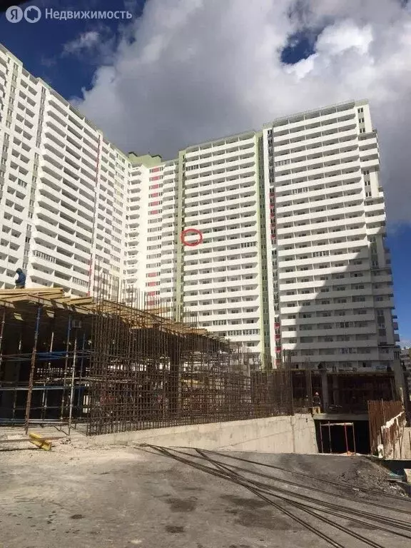 Квартира-студия: посёлок Шушары, Валдайская улица, 6к2 (26.2 м) - Фото 2