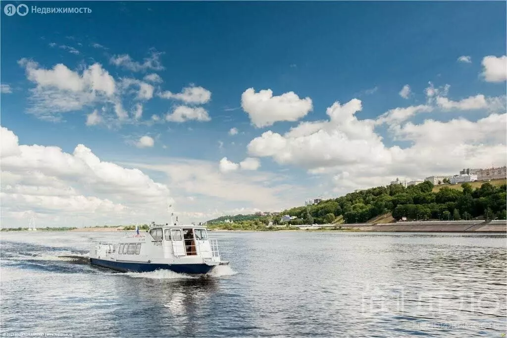Участок в Рязанский муниципальный округ, село Шумашь (1 м) - Фото 2
