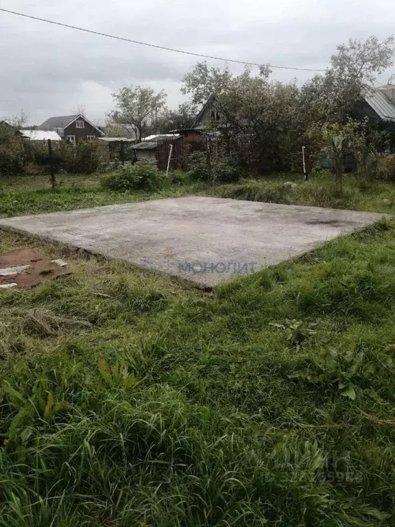 Участок в Нижегородская область, Нижний Новгород Надежда СНТ, 596 ... - Фото 1