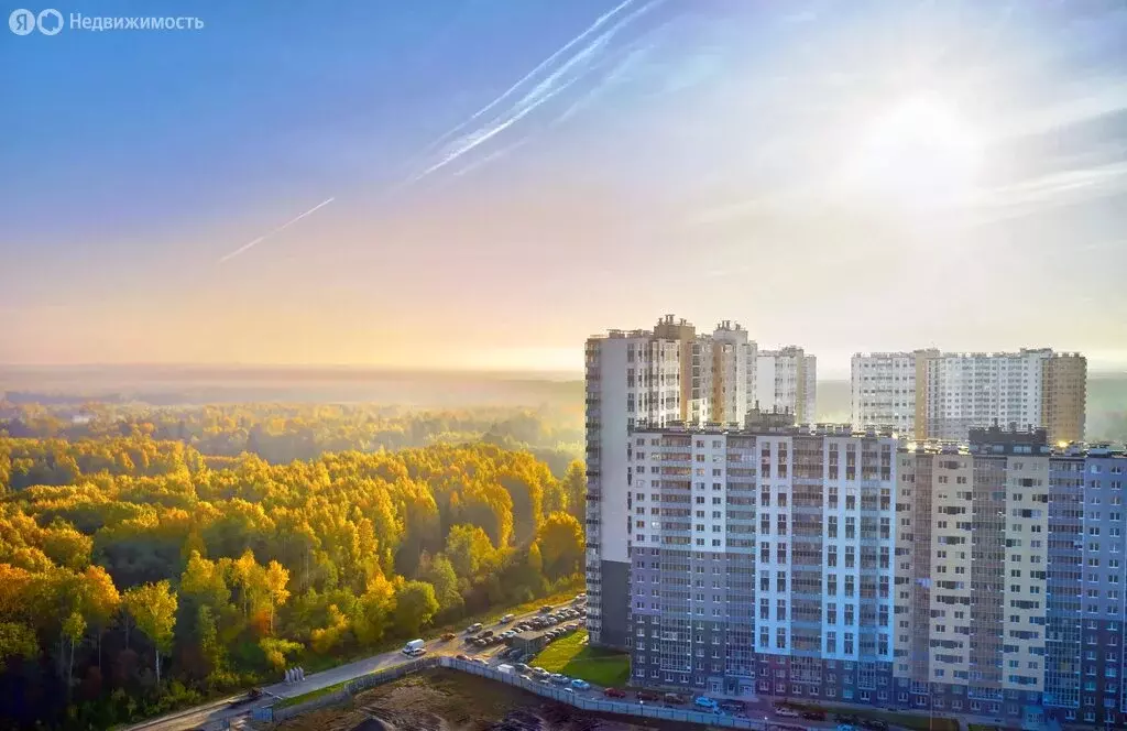 Квартира-студия: Санкт-Петербург, Муринская дорога, 27к1 (20.5 м) - Фото 1