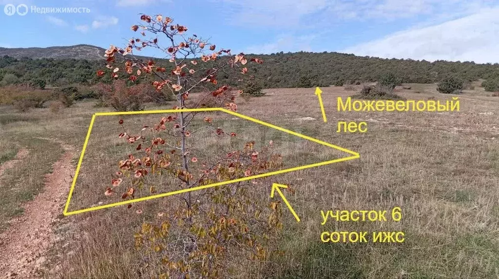 Участок в Старый Крым, улица А.Тейфука (6 м) - Фото 2