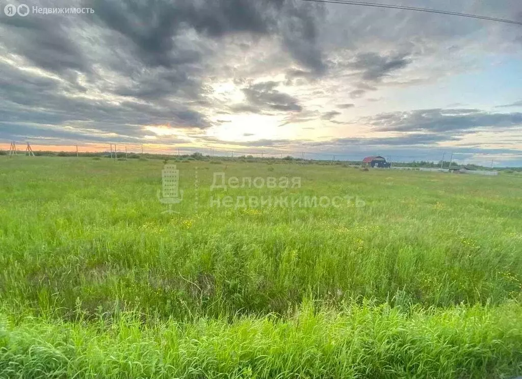 Участок в Новгородская область, рабочий посёлок Шимск (15 м) - Фото 1