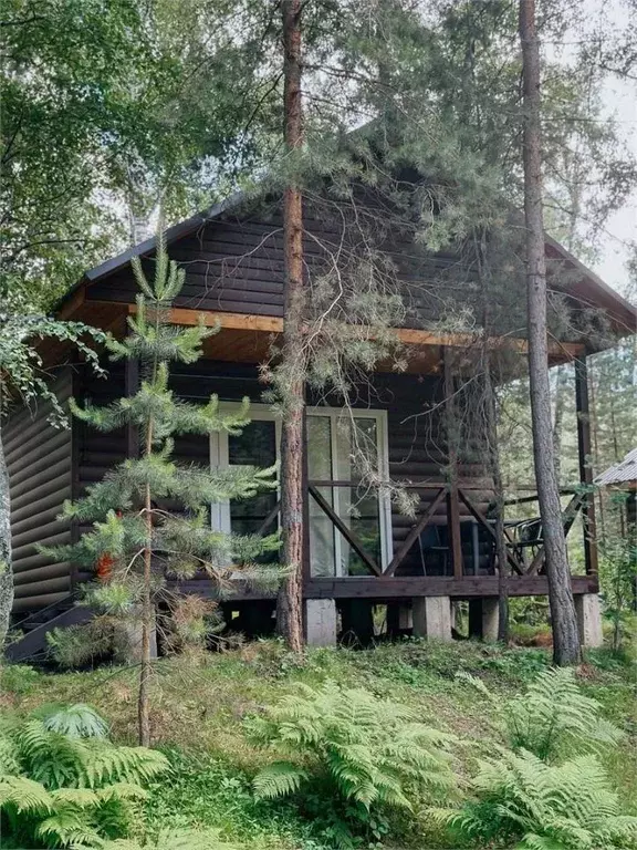 Дом в Алтай, Майминский район Р-256 Чуйский тракт, 468-й км (25 м) - Фото 0