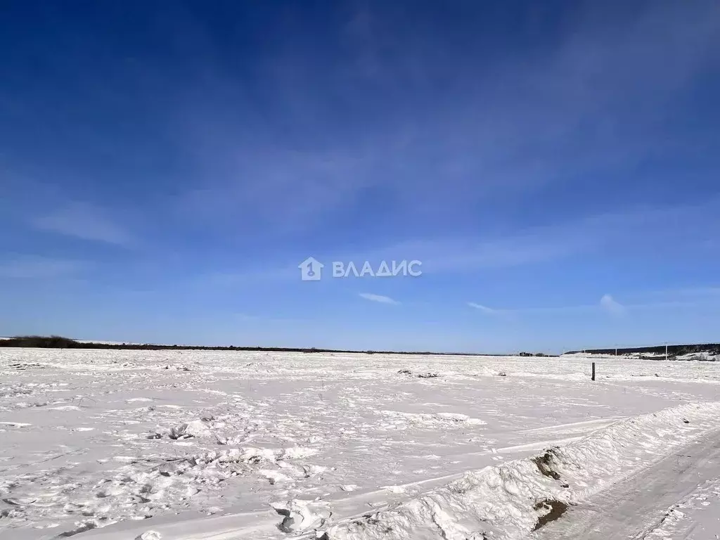 Участок в Иркутская область, Иркутский муниципальный округ, с. ... - Фото 2