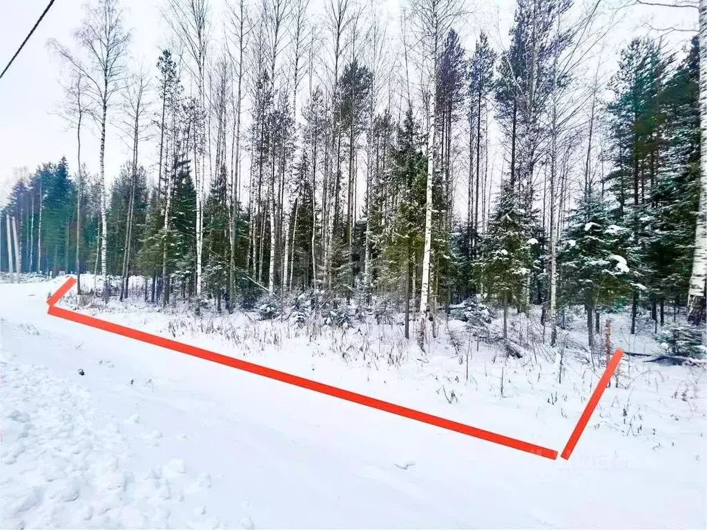 Участок в Коми, Сыктывкар Центральная ул. (10.5 сот.) - Фото 2