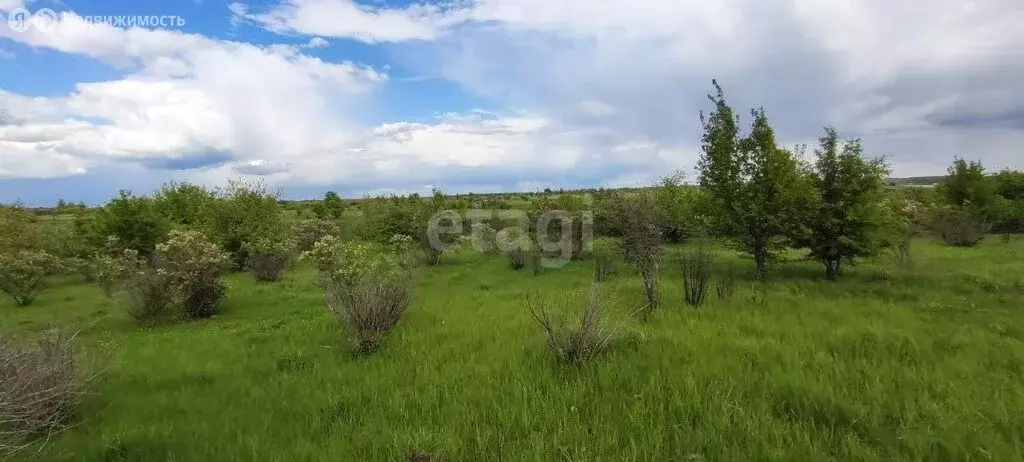 Участок в Рамонский район, Русскогвоздёвское сельское поселение, село ... - Фото 0