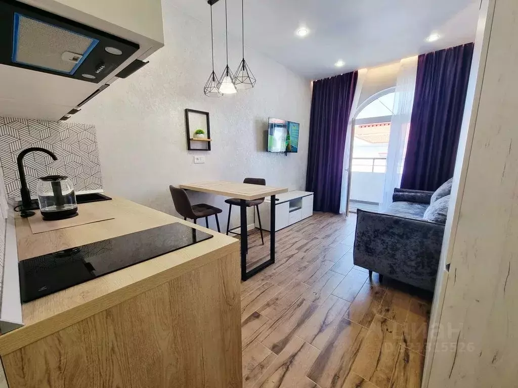 Студия Краснодарский край, Сочи ул. Ленина, 290/7к5 (24.0 м) - Фото 0