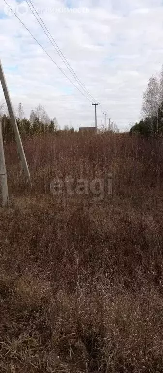 Участок в Курганская область, Кетовский муниципальный округ, ... - Фото 2