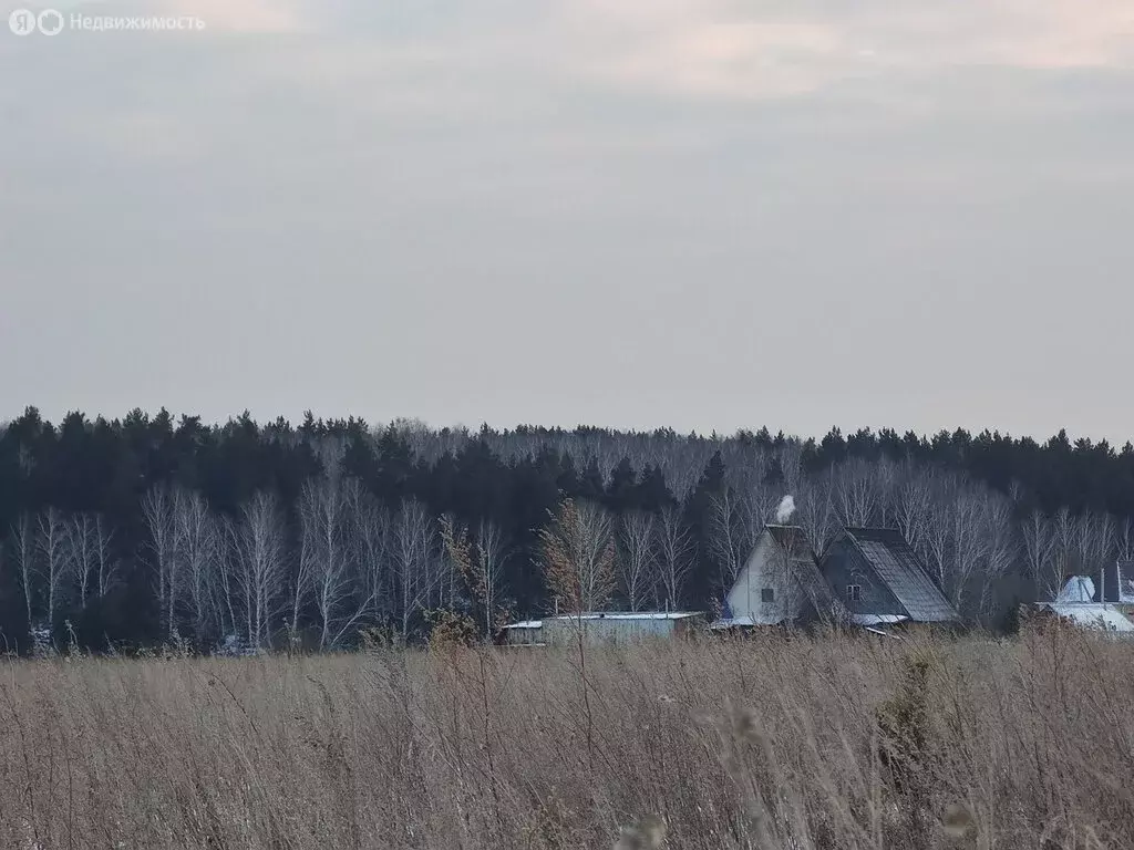 Участок в Сосновский район, Долгодеревенское сельское поселение, ... - Фото 1