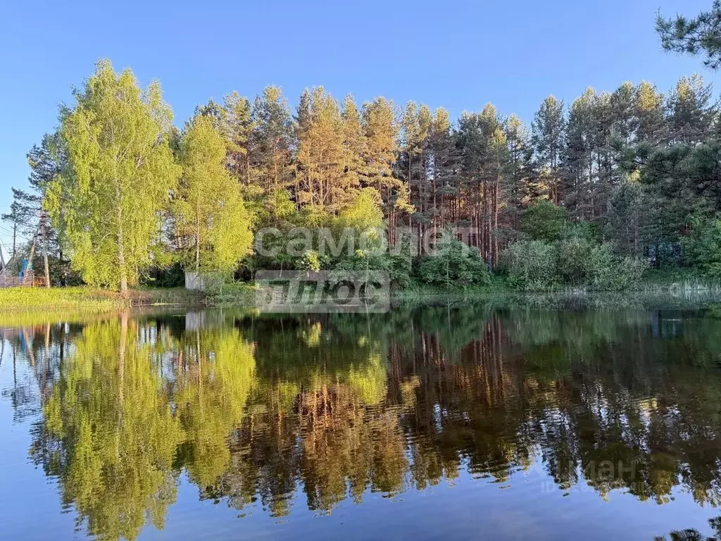 Дом в Пензенская область, Бессоновский район, Кристалл СНТ ул. 2-я (80 ... - Фото 1