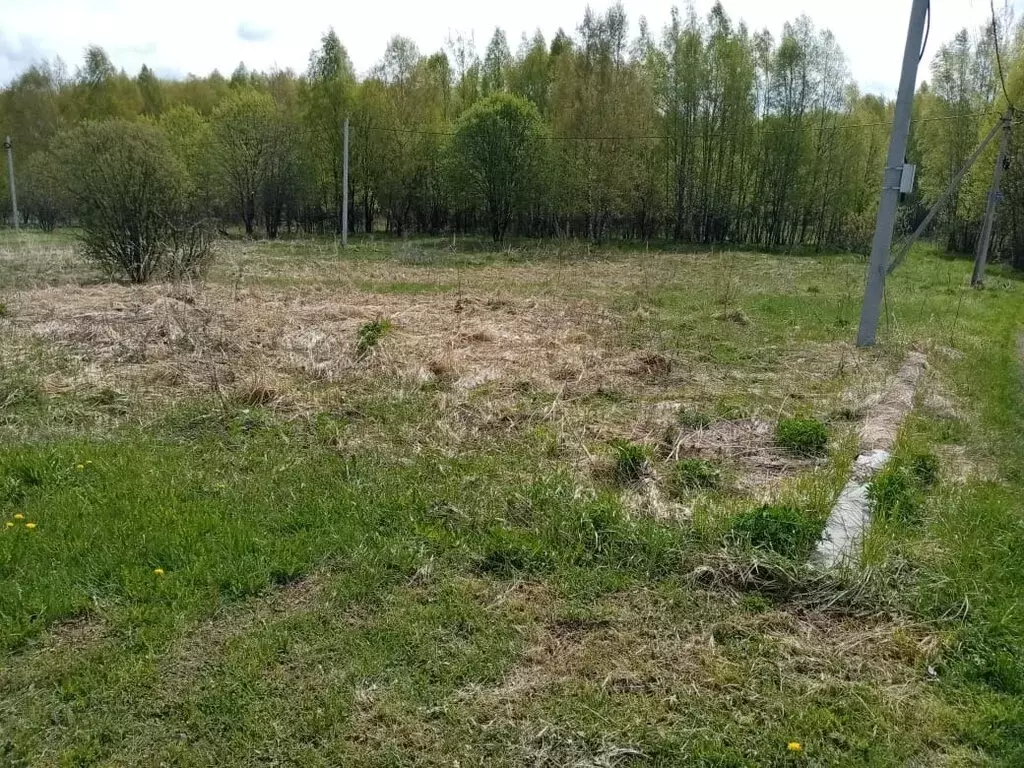 Участок в Владимирская область, Киржачский муниципальный округ, СНТ ... - Фото 2