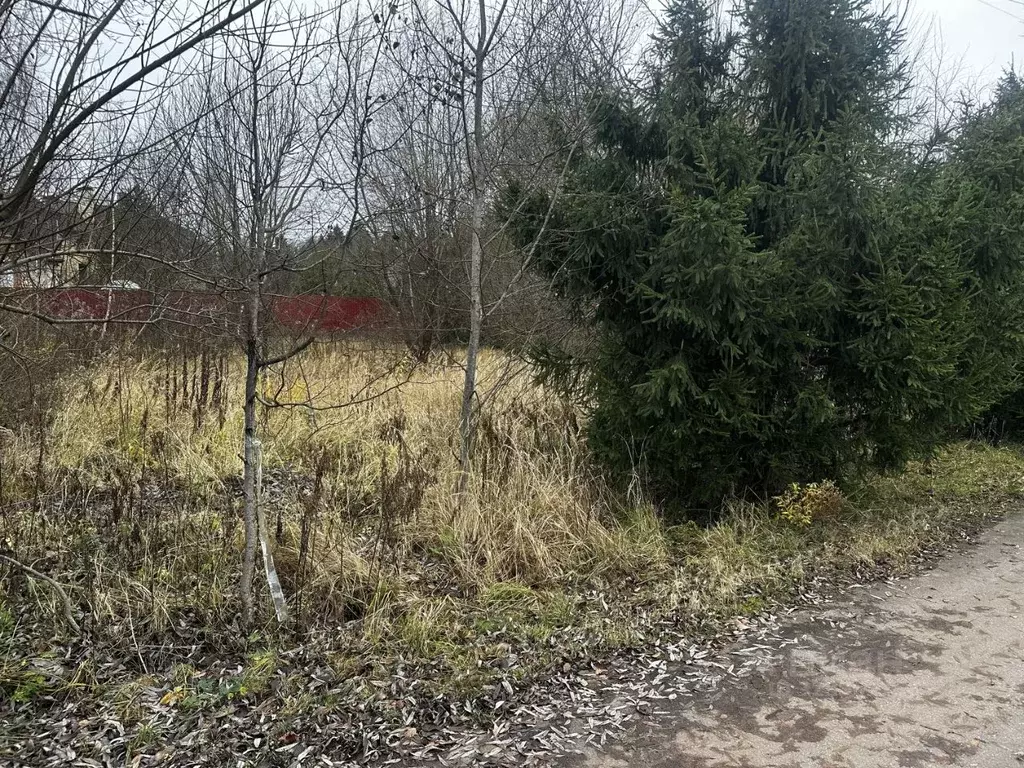 Участок в Московская область, Истра муниципальный округ, д. Рубцово ... - Фото 2