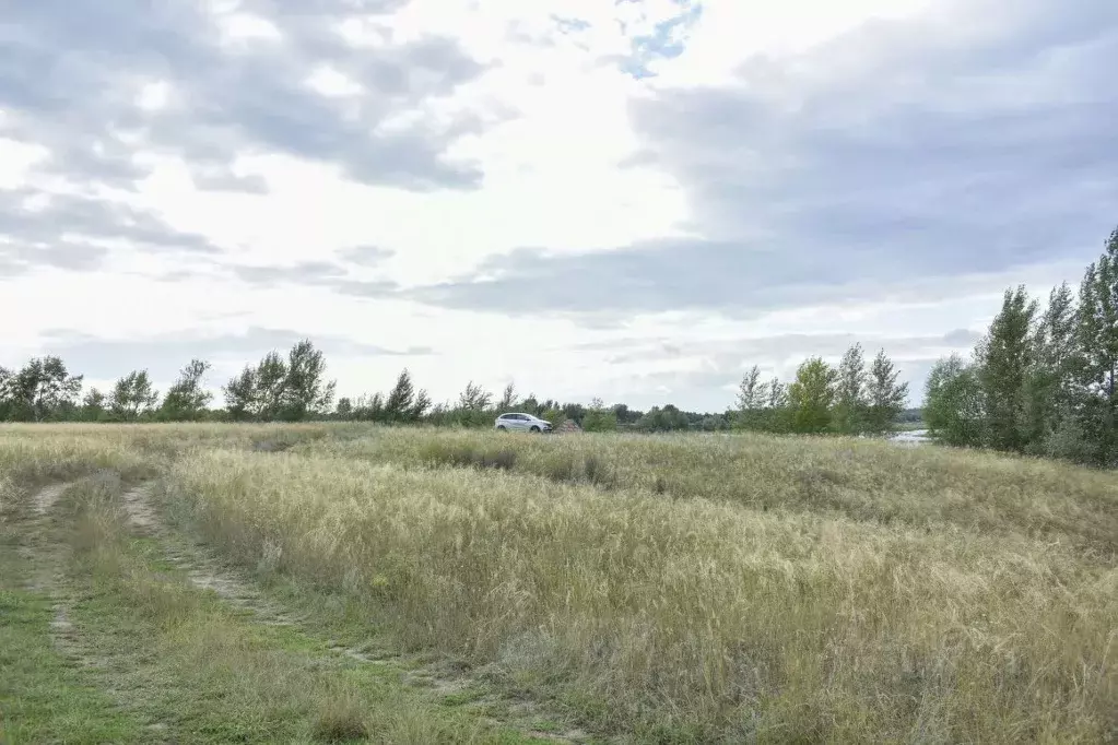Участок в Оренбургская область, Илекский район, с. Кардаилово  (10.0 ... - Фото 0
