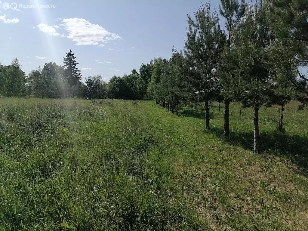Участок в Псковский муниципальный округ, деревня Лакомцево (52 м) - Фото 2