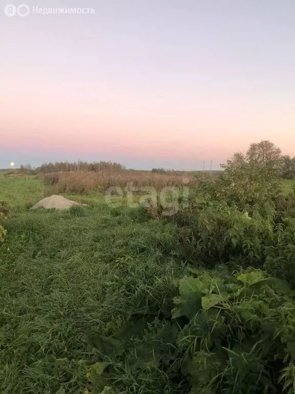 Участок в Свердловская область, Ирбитское муниципальное образование, ... - Фото 1