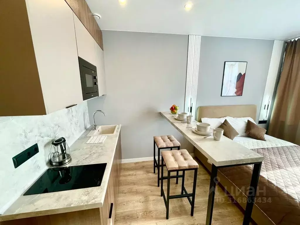 Студия Санкт-Петербург просп. Энергетиков, 2к2 (24.0 м) - Фото 1
