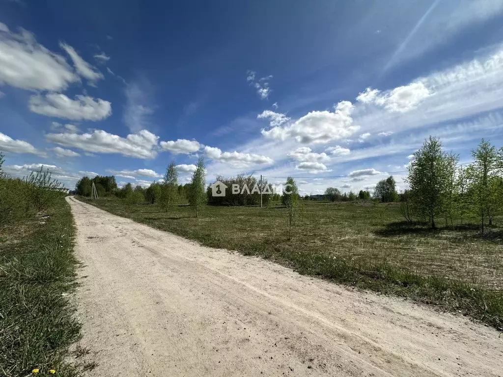Участок в Нижегородская область, Богородский муниципальный округ, с. ... - Фото 1
