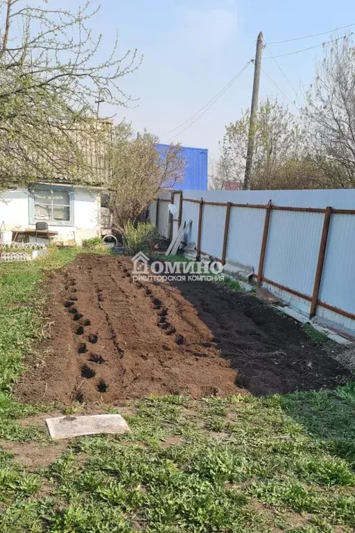 Участок в Тюменская область, Тюмень Плодовое СНТ, ул. Земляничная (4.3 ... - Фото 2