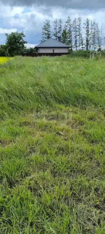 Участок в Курская область, Курский район, Моковский сельсовет, д. ... - Фото 1