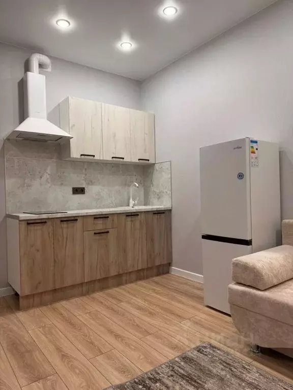 Студия Краснодарский край, Краснодар ул. Ивана Беличенко, 92к2 (22.0 ... - Фото 1