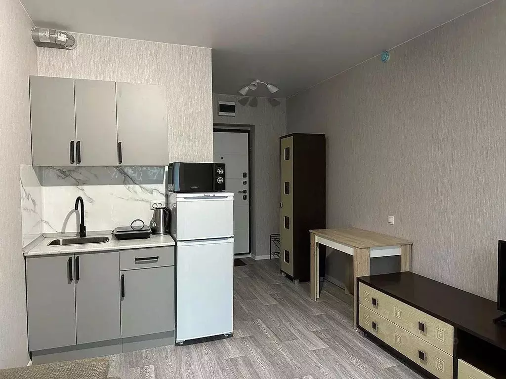 Студия Новосибирская область, Новосибирский район, Станционный ... - Фото 1