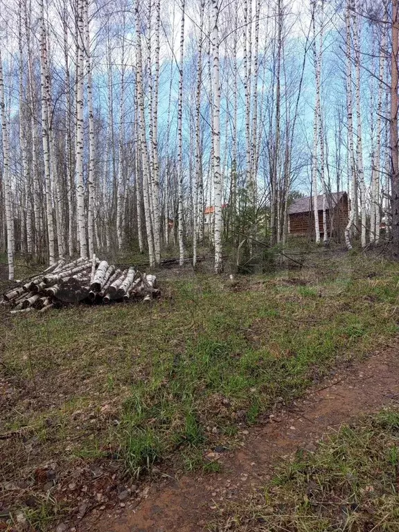 Участок 15 сот. (ИЖС) - Фото 1