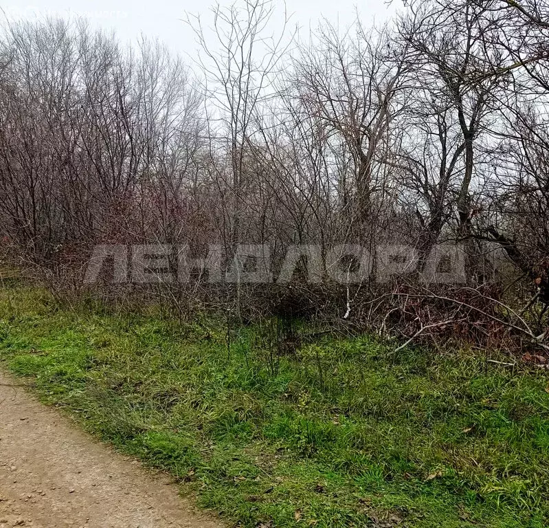 Участок в Щепкинское сельское поселение, посёлок Элитный, Зелёная ... - Фото 1