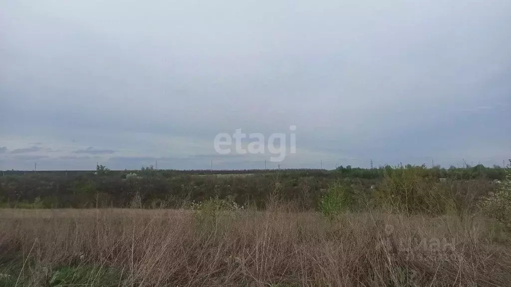 Участок в Белгородская область, Белгородский район, Ериковское с/пос, ... - Фото 1