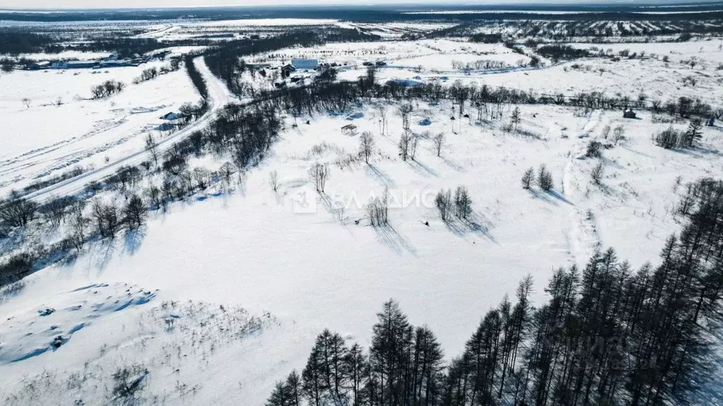 Участок в Сахалинская область, Анивский городской округ, с. Мицулевка ... - Фото 1