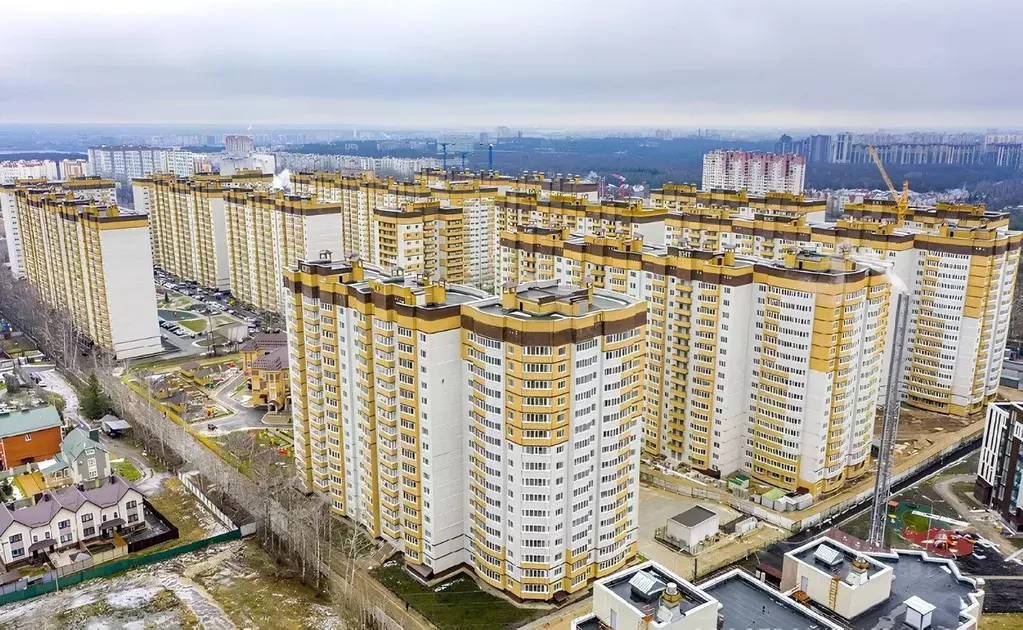1-к кв. Воронежская область, Воронеж ул. Козо-Полянского, 5 (48.7 м) - Фото 1