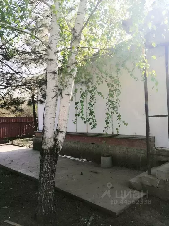 Дом в Краснодарский край, Новокубанск Светлая ул., 38А (50 м) - Фото 1