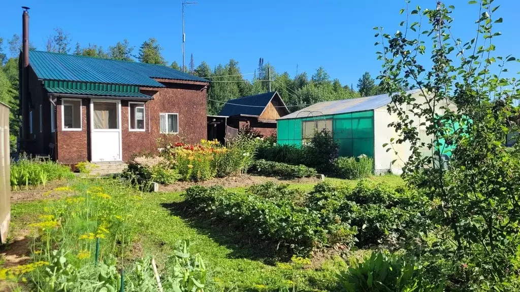 Дом в Пермский край, Пермский муниципальный округ, Лесной Уголок СНТ ... - Фото 2