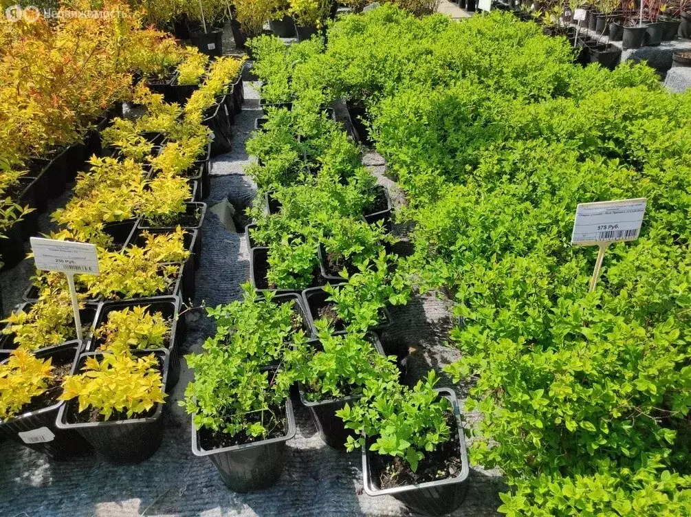 Помещение свободного назначения (200 м) - Фото 1