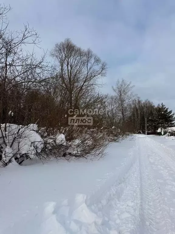 Участок в Марий Эл, Медведевский район, Знаменское с/пос, пос. ... - Фото 2