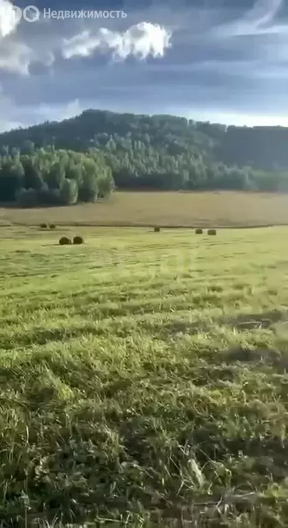 Участок в Чемальский район, Аносинское сельское поселение, территория ... - Фото 2