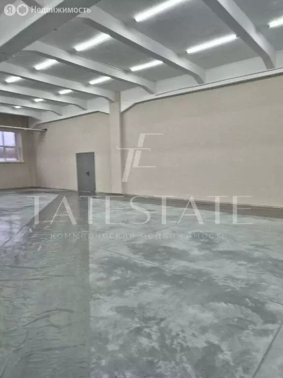 Помещение свободного назначения (336 м) - Фото 2
