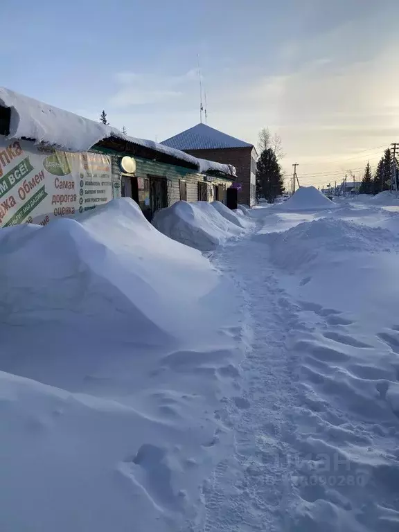 Помещение свободного назначения в Кемеровская область, Тяжинский пгт ... - Фото 1