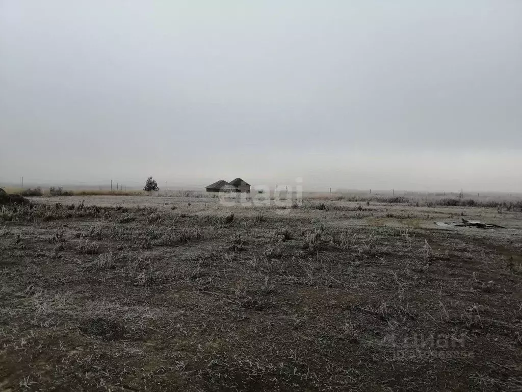 Участок в Курская область, Курский район, Моковский сельсовет, д. ... - Фото 0