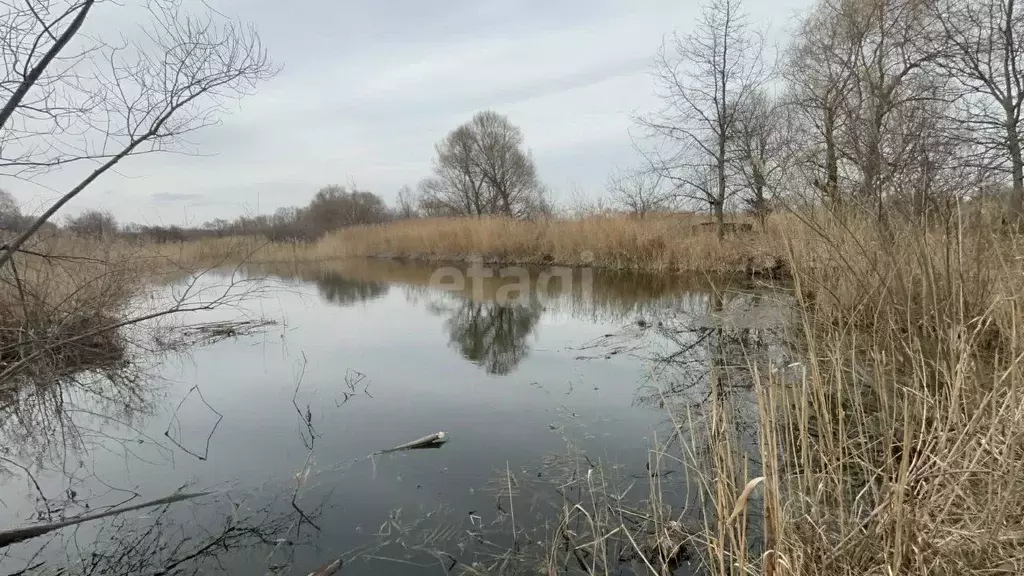 Участок в Воронежская область, Воронеж ул. Приозерная (20.0 сот.) - Фото 1