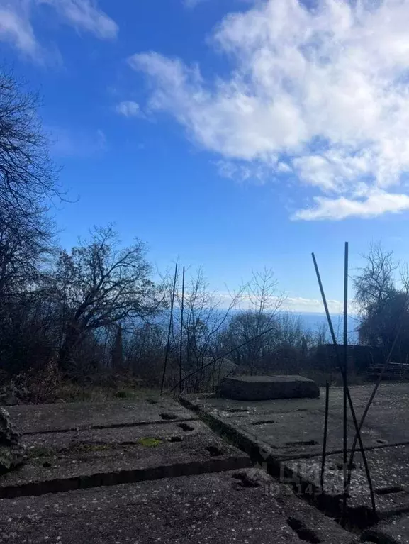 Участок в Крым, Алушта городской округ, с. Малый Маяк ул. Виноградная ... - Фото 0