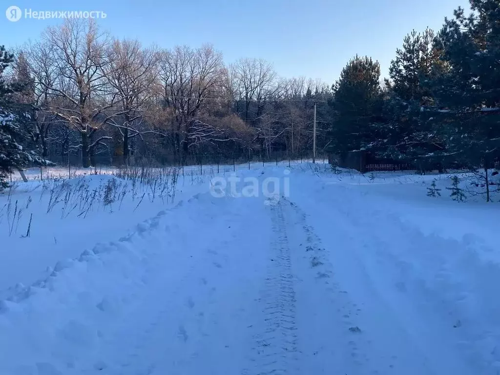 Участок в деревня Медовка, кп Изумрудный (19.1 м), Купить земельный участок  Медовка, Рамонский район, ID объекта - 20007100858