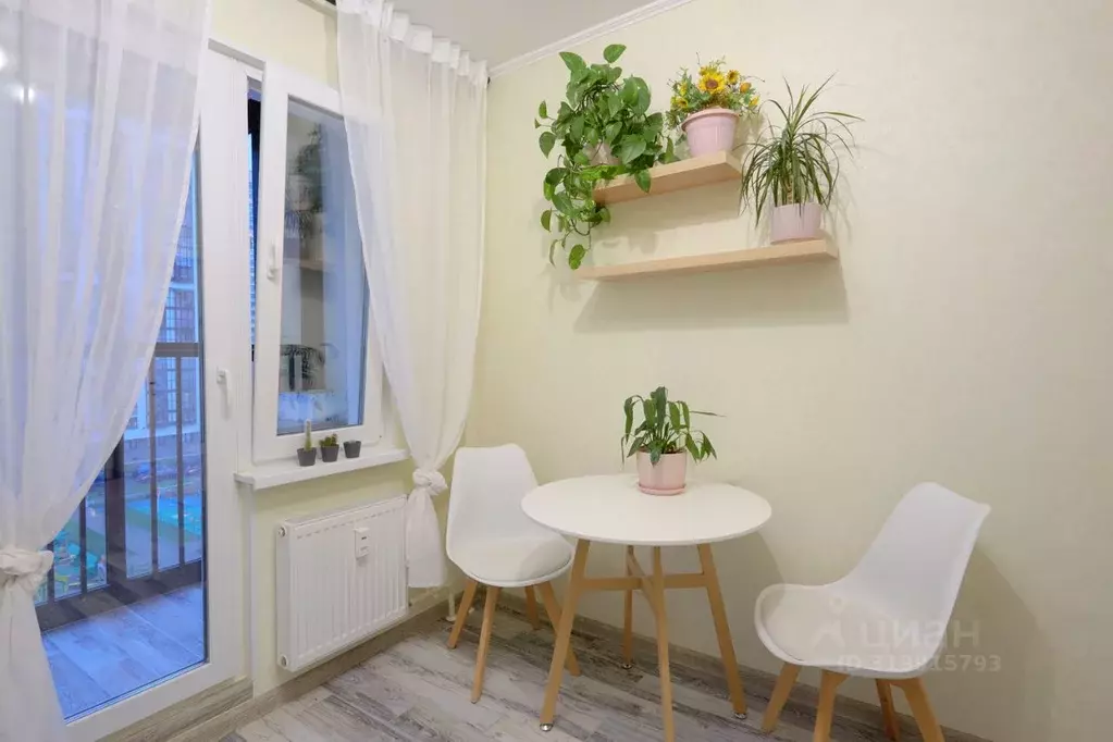 1-к кв. Санкт-Петербург Парашютная ул., 61к1 (33.0 м) - Фото 0