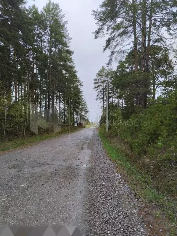 Дом в Тюменская область, Тюмень городской округ, Сосновая Поляна СНТ  ... - Фото 1