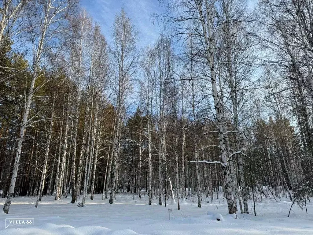 Участок в Свердловская область, Сысертский городской округ, пос. ... - Фото 0