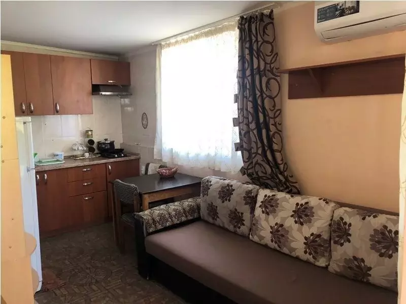 1-к кв. Краснодарский край, Сочи Светлана мкр, ул. Грибоедова, 14 ... - Фото 0