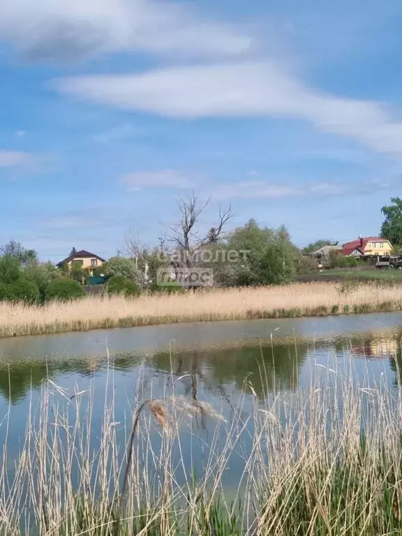 Дом в Воронежская область, с. Каширское ул. 9 Января, 59 (33 м) - Фото 0