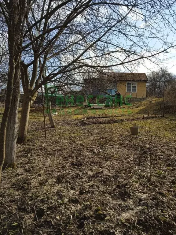 Дом в Брянская область, Брянский район, Супоневское с/пос, Рассвет СДТ ... - Фото 2