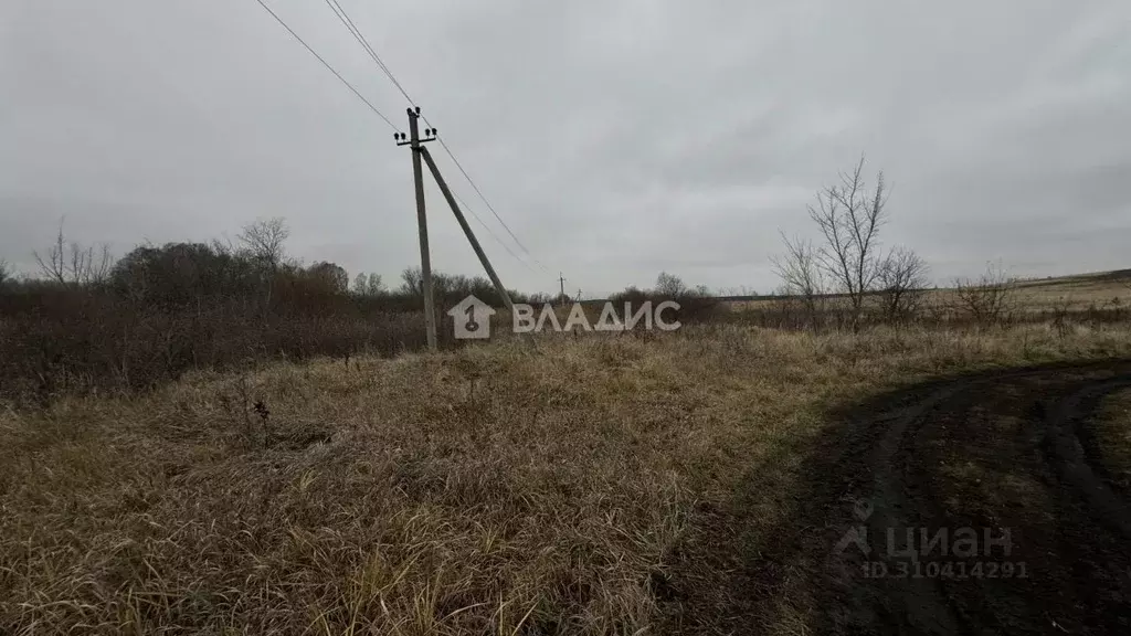 Участок в Пензенская область, Бессоновский район, с. Ухтинка ... - Фото 1