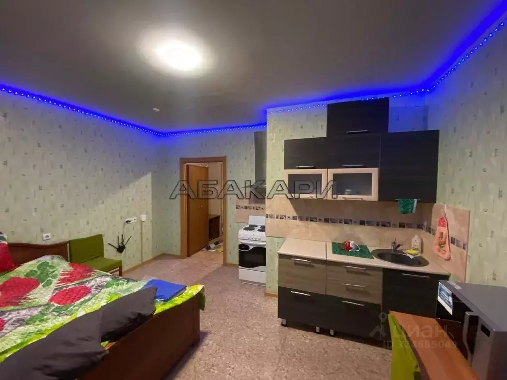 Студия Красноярский край, Красноярск ул. Петра Подзолкова, 5А (24.0 м) - Фото 1