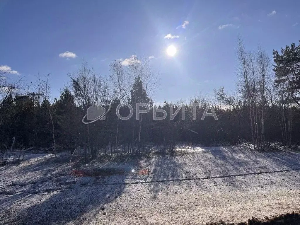 Участок в Тюменская область, Тюменский муниципальный округ, д. Дербыши ... - Фото 2